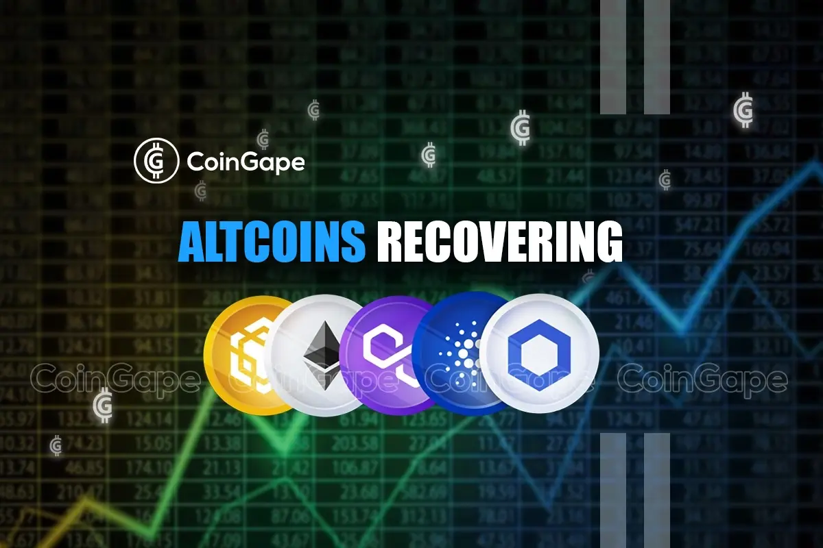 Altcoins Recovering the Highest