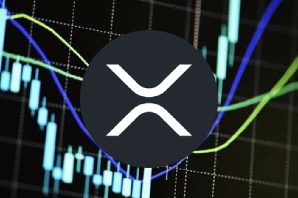 Analyst to XRP Holders: July 2024 and May 2025 Are Key Dates that Could Change Your Life