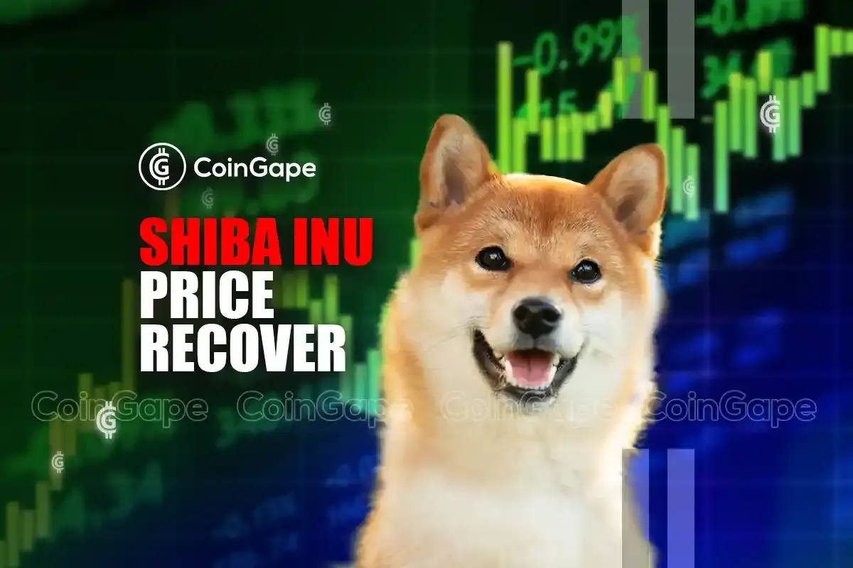 Can Shiba Inu Price Recover Amid Meme Coins Collapse?