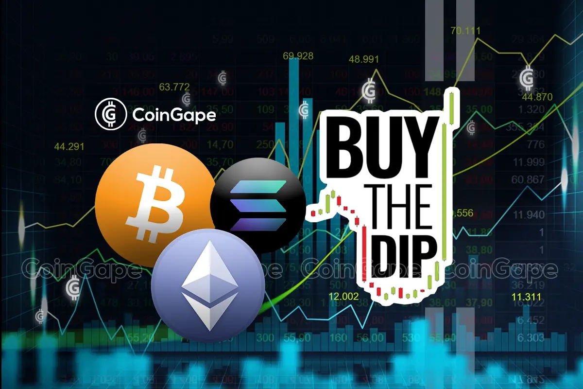 Hot Cryptos to Buy in Dip