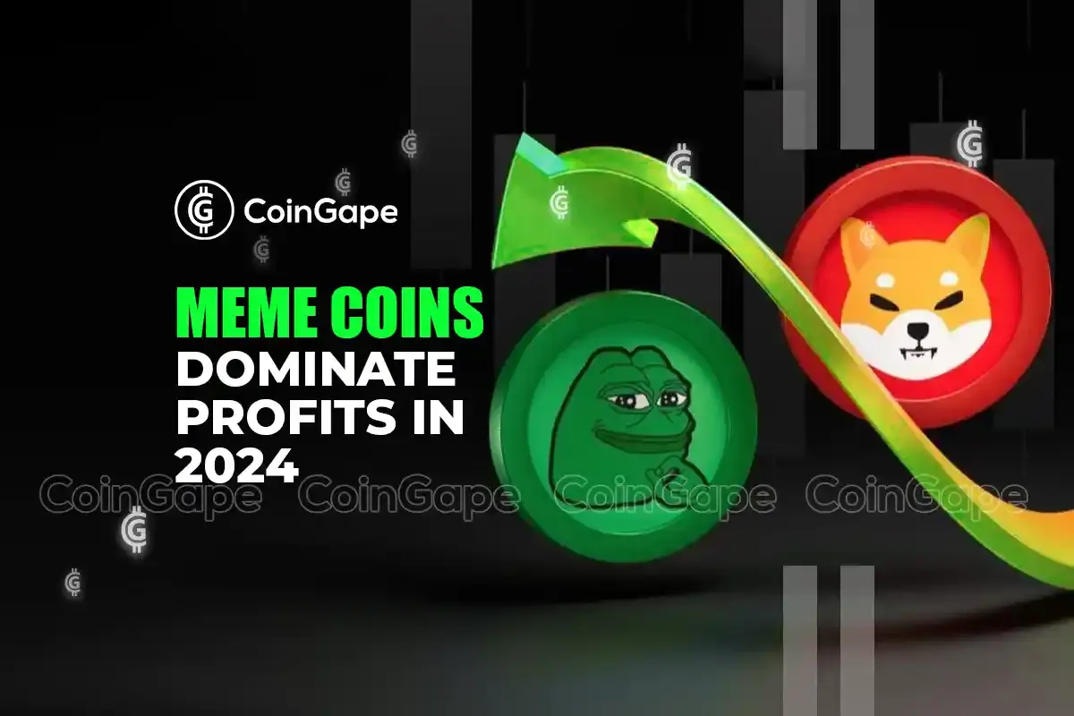 How Meme Coins Led Crypto Profits in 2024