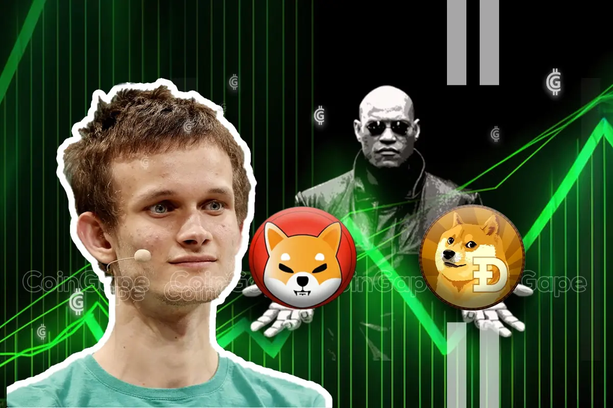 Vitalik Buterin Proposes Requirements For Meme Coin Dominance