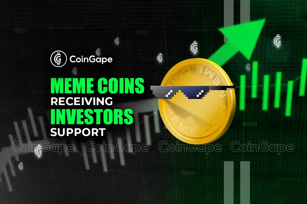 What Meme Coins Are Receiving Investors Support Today?