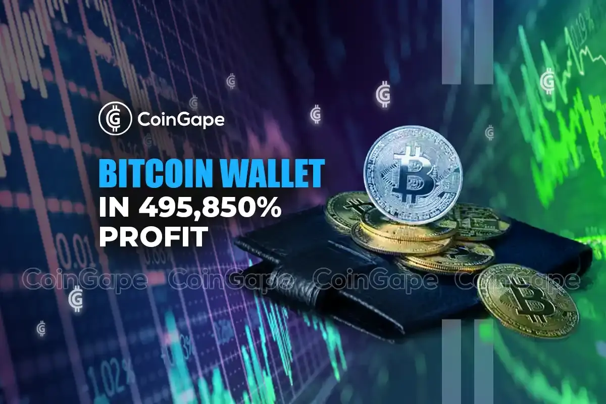 Bitcoin Wallet in 495,850% Profit