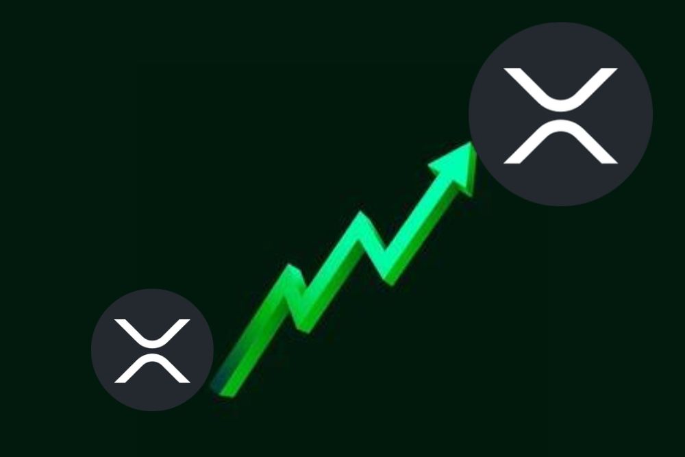 Analyst Says This Could be the Last Shakeout before XRP Takes Off. Here