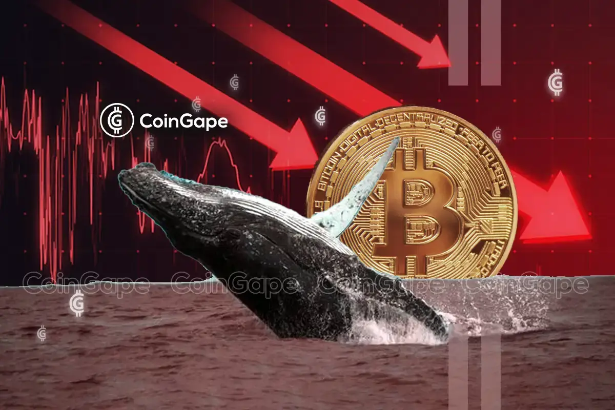 How One Crypto Whale is Turning Market Panic into Profit