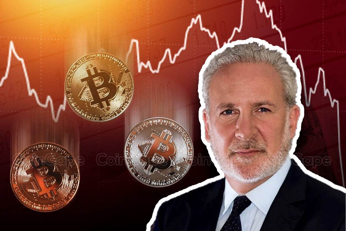 Peter Schiff Claims Bitcoin Whales Set Up ETF Investors As "Bag Holders"