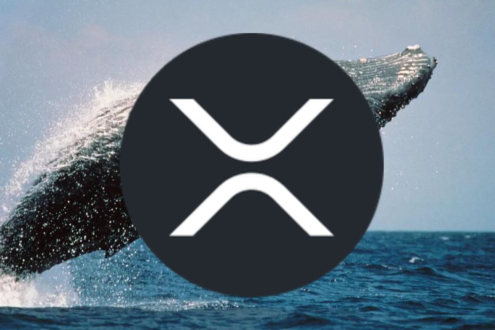 XRP Whale Cryptic Transaction Memo: