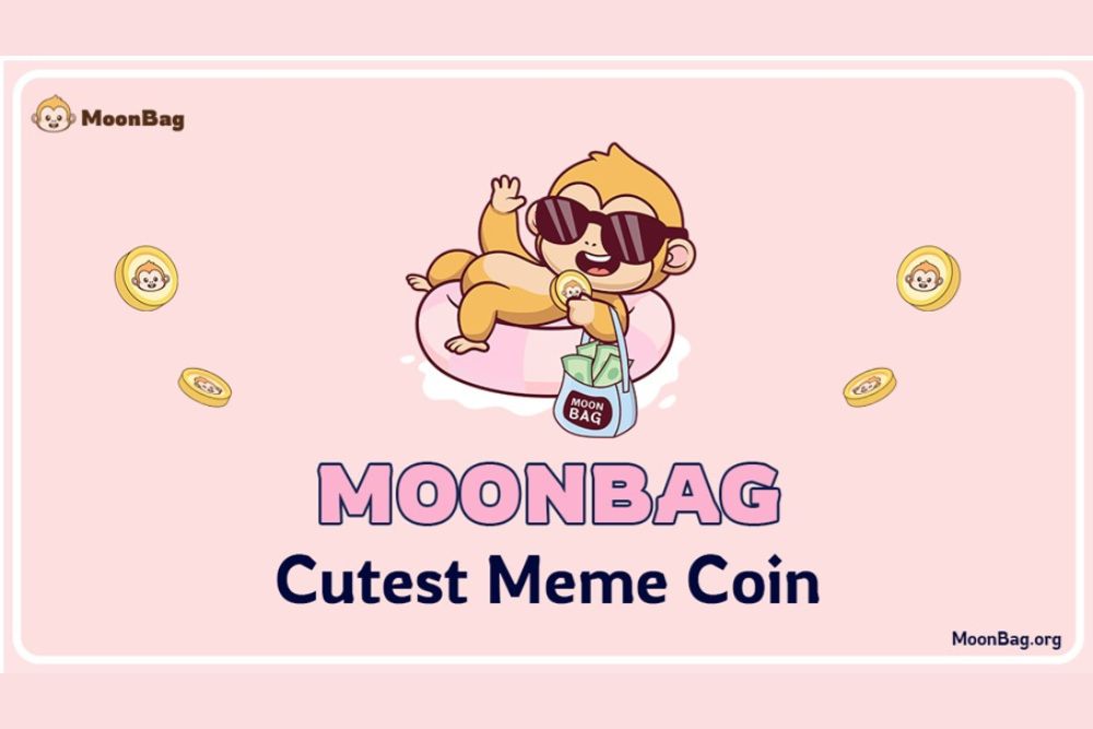 Did You Miss the Chance to Capitalise on Chainlink and zkSync’s Success? MoonBag Top Meme Coin Presales Is Here