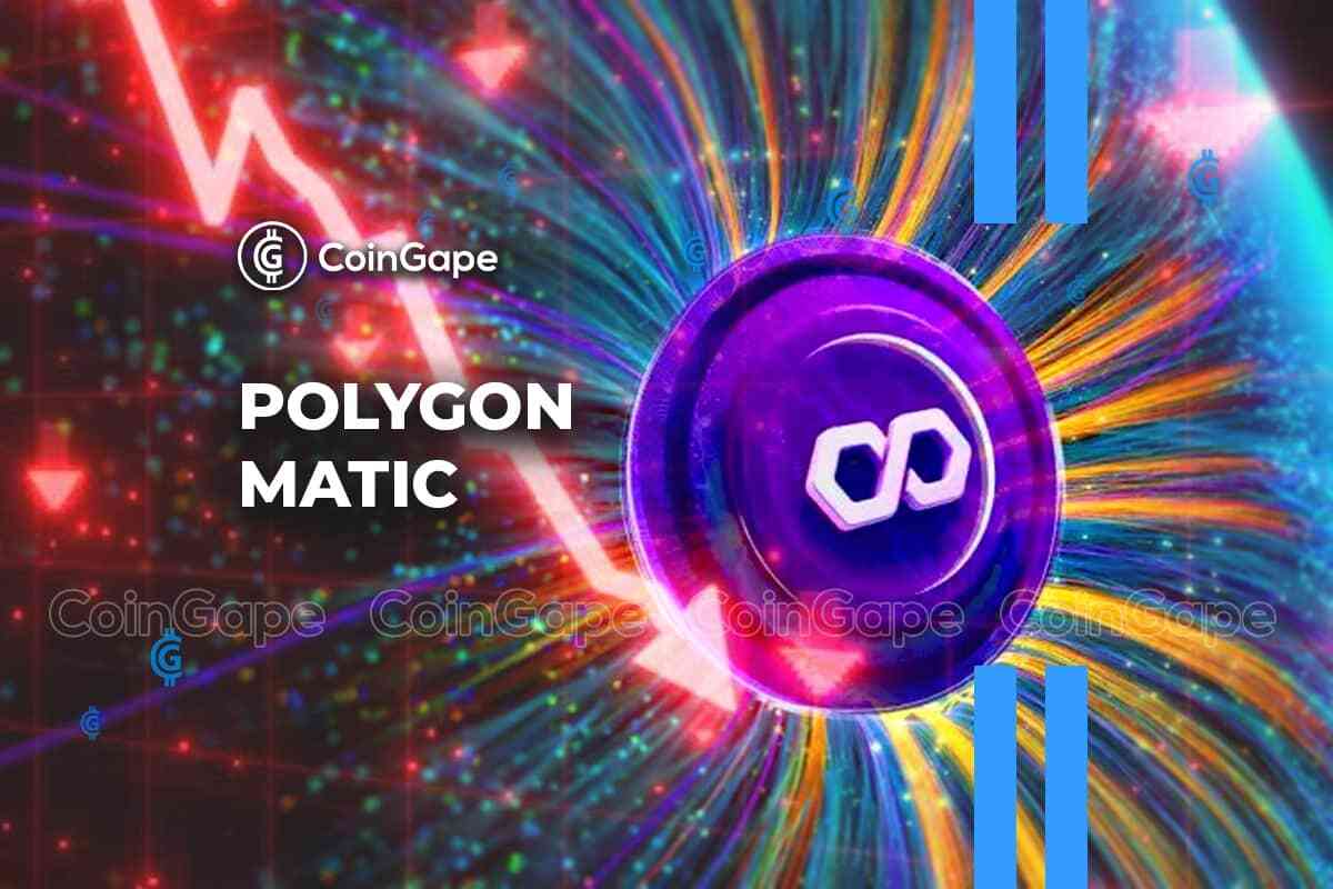 Polygon Whales Accumulate Despite 88% MATIC Price Crash, Why?